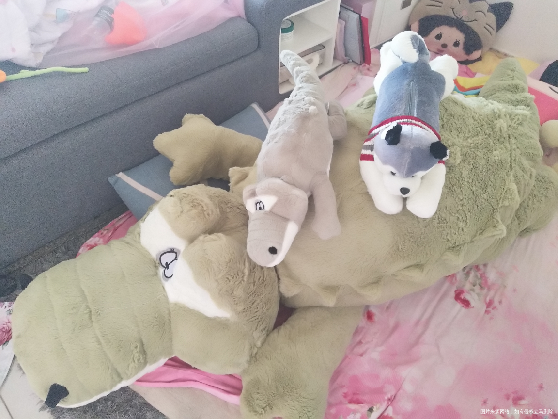 我迟到的生日礼物到了😁