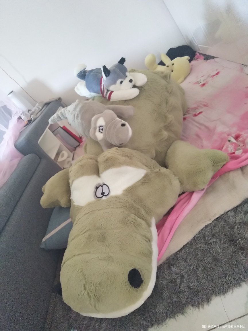 我迟到的生日礼物到了😁