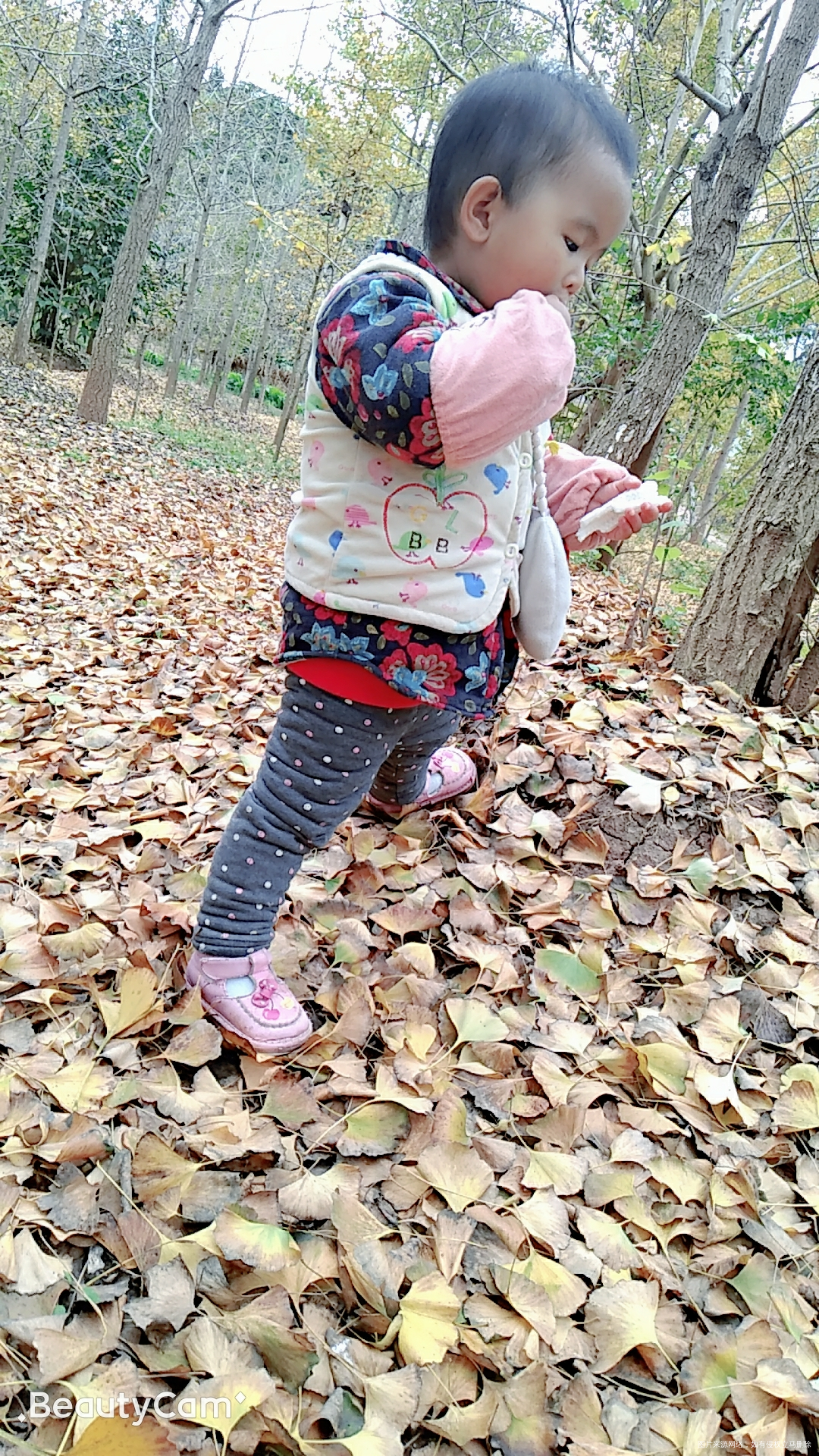 #我的2018#+有梦想也有破灭!