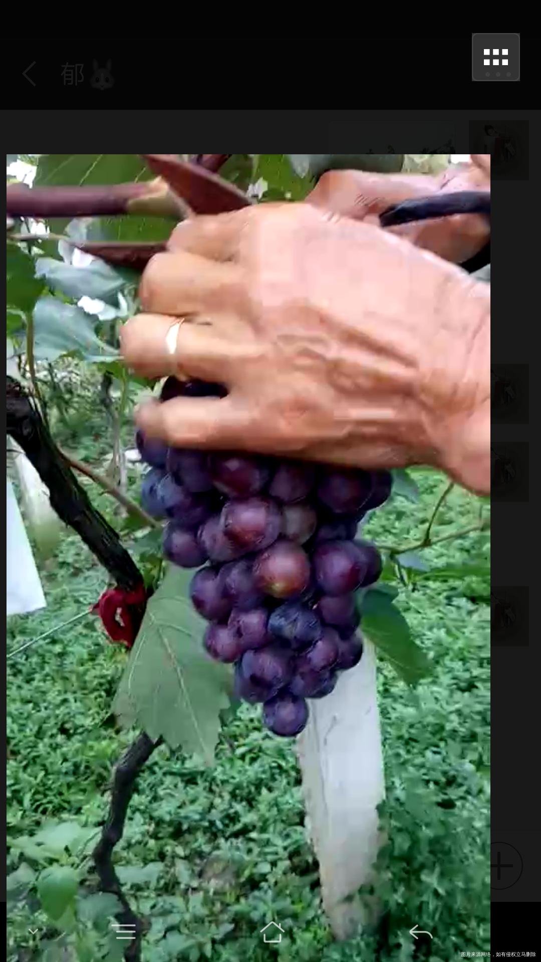 闺女 就是娘家的小毛贼