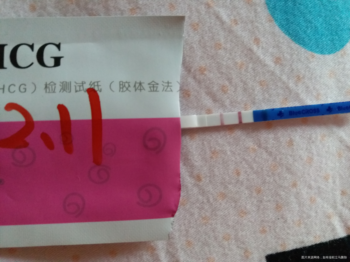 【致我的小棉袄/小情人】你们都是我的好宝贝