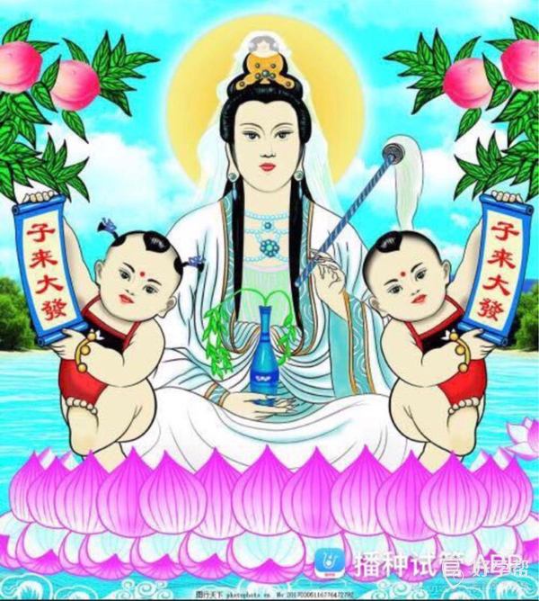 南无大慈大悲观世音菩萨 求您保佑我宝宝健康成长