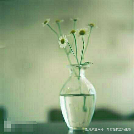 【致亲爱的老公】+爱情到底是什么