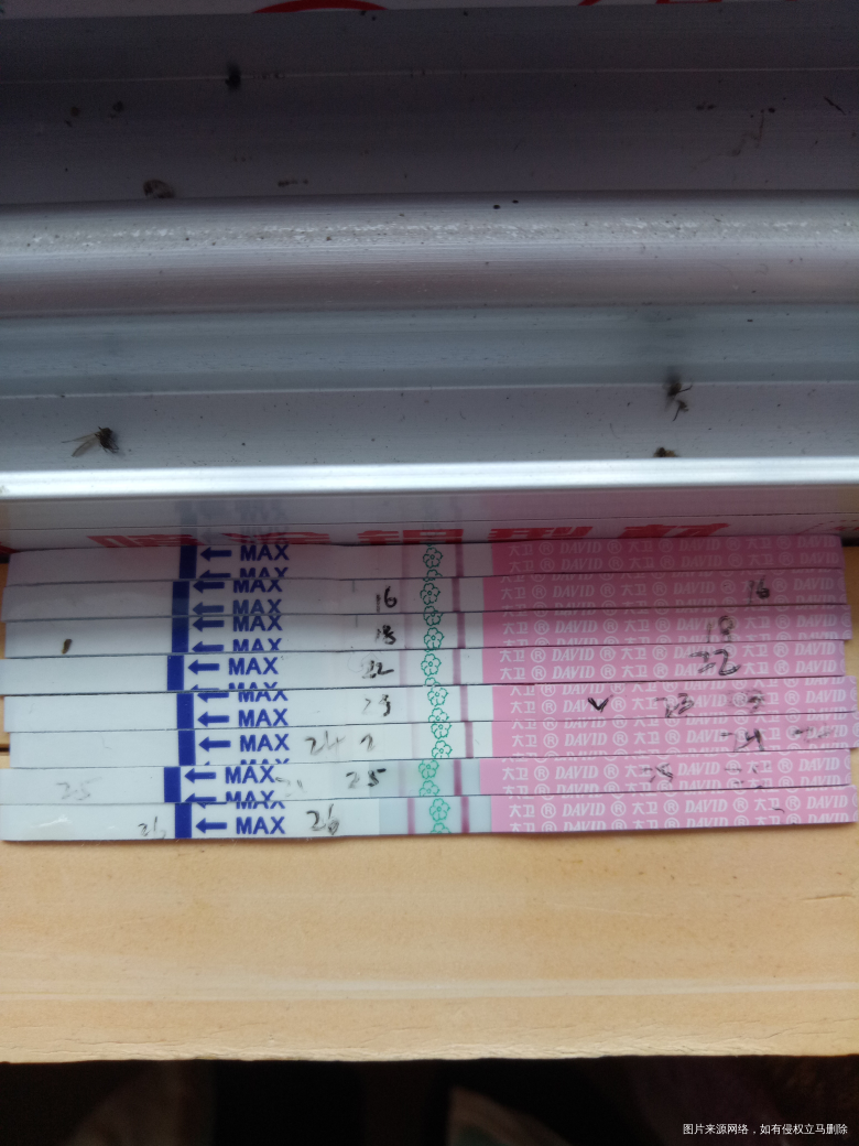 大家帮我看看起还没到强阳,还是排了