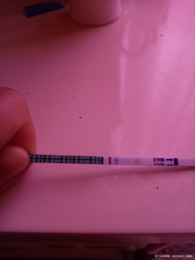 末次五月八号的姐妹们测出来了吗?