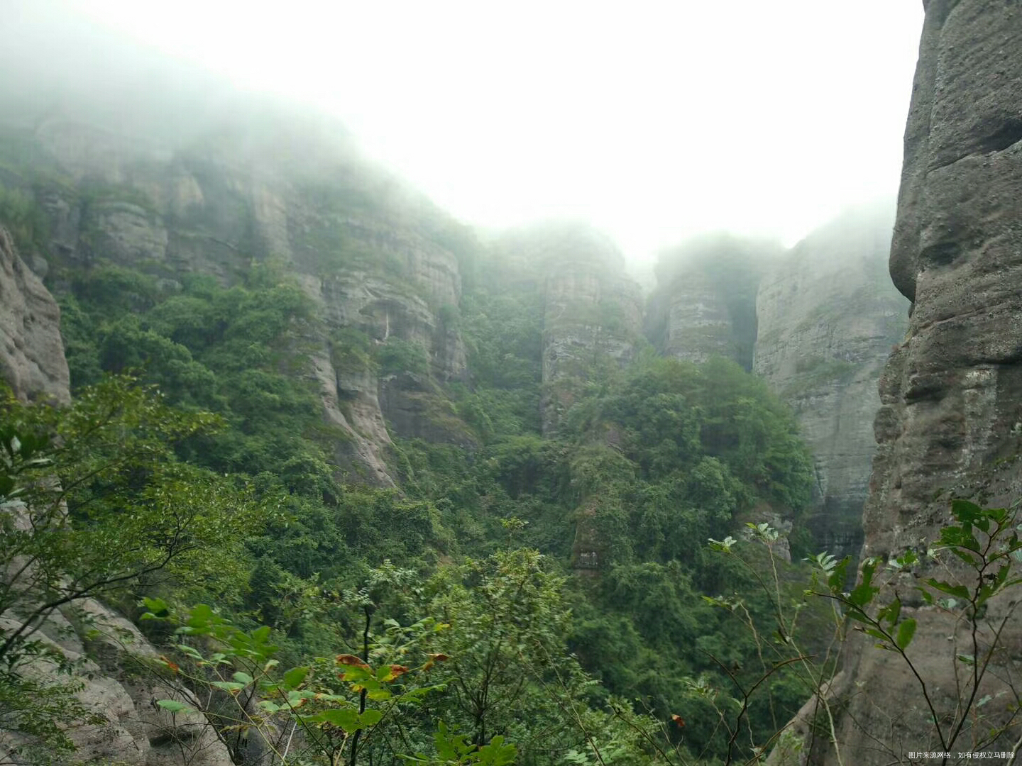 #我的家乡美景#冠豸山天然氧吧等你来!