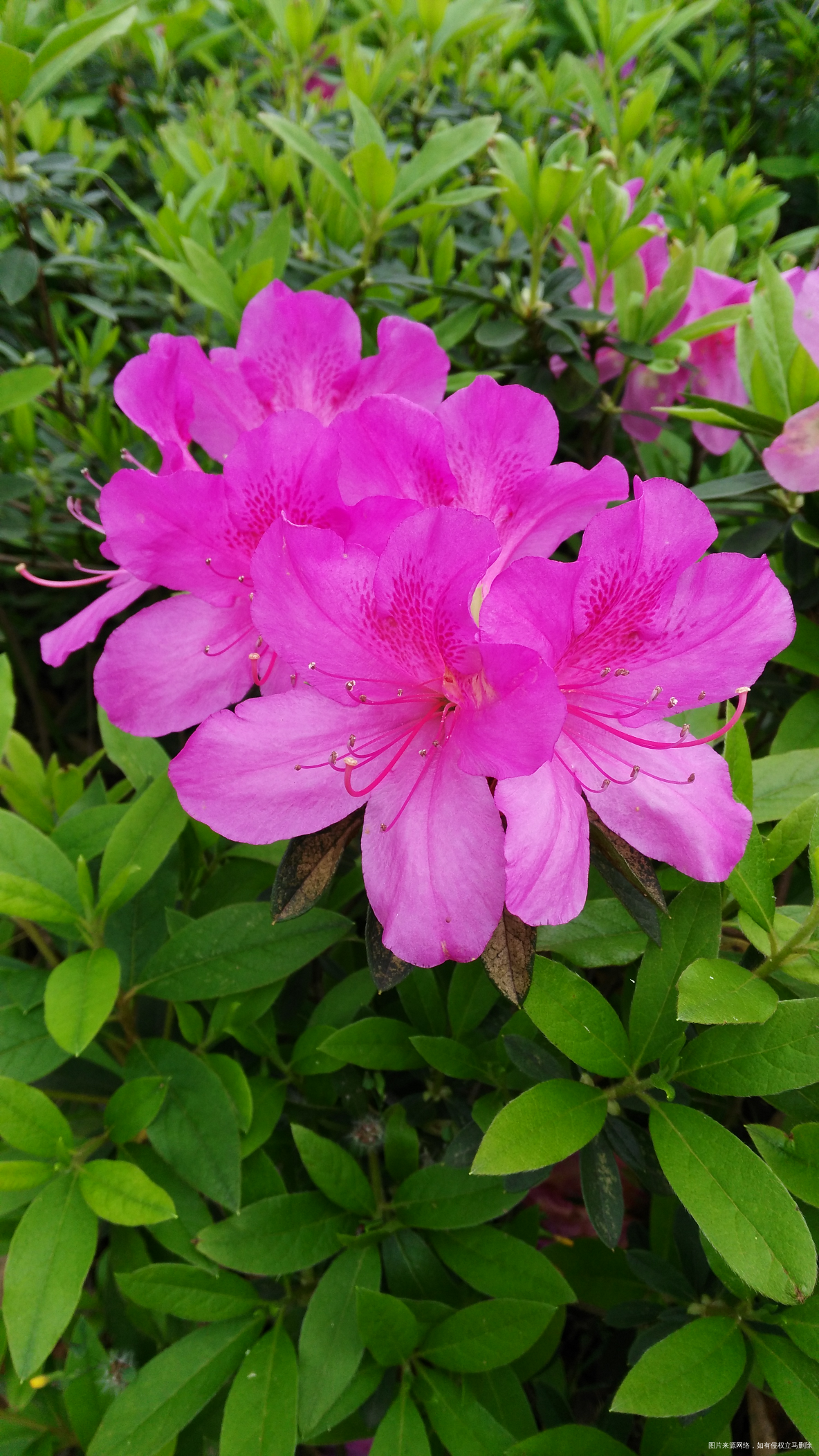 输卵管堵塞备孕难,这些备孕知识你都知道了吗