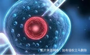 输卵管不通?这几种办法可以帮你成功怀孕!