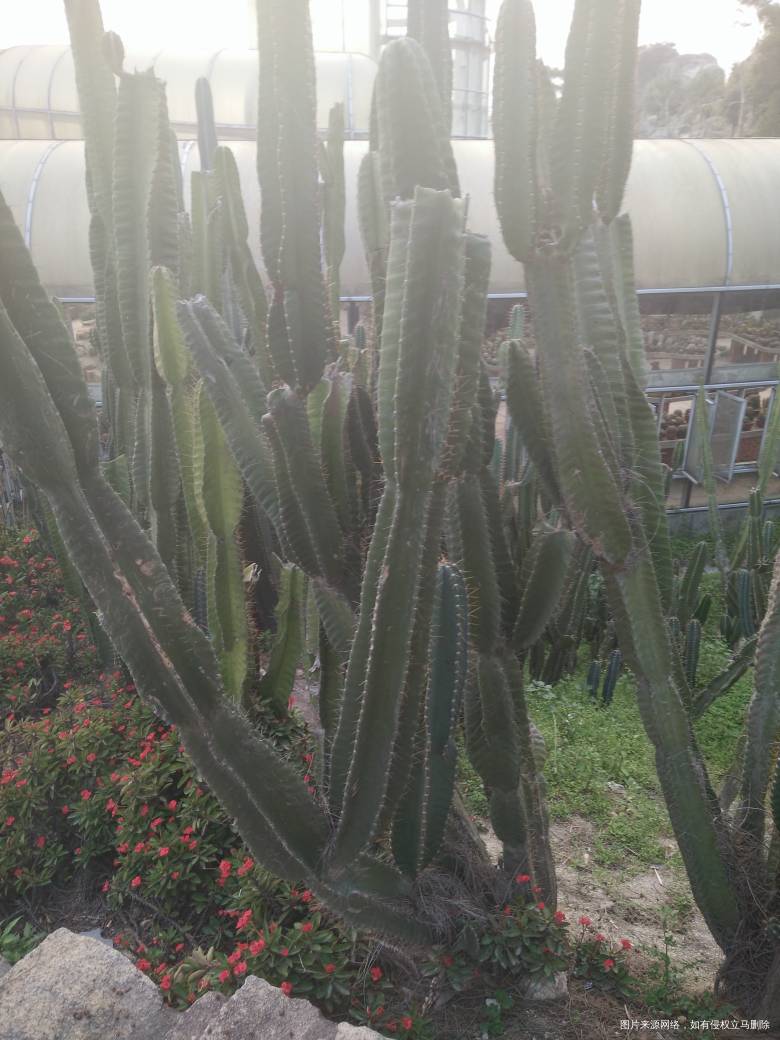 【心路历程】写给现在的自己