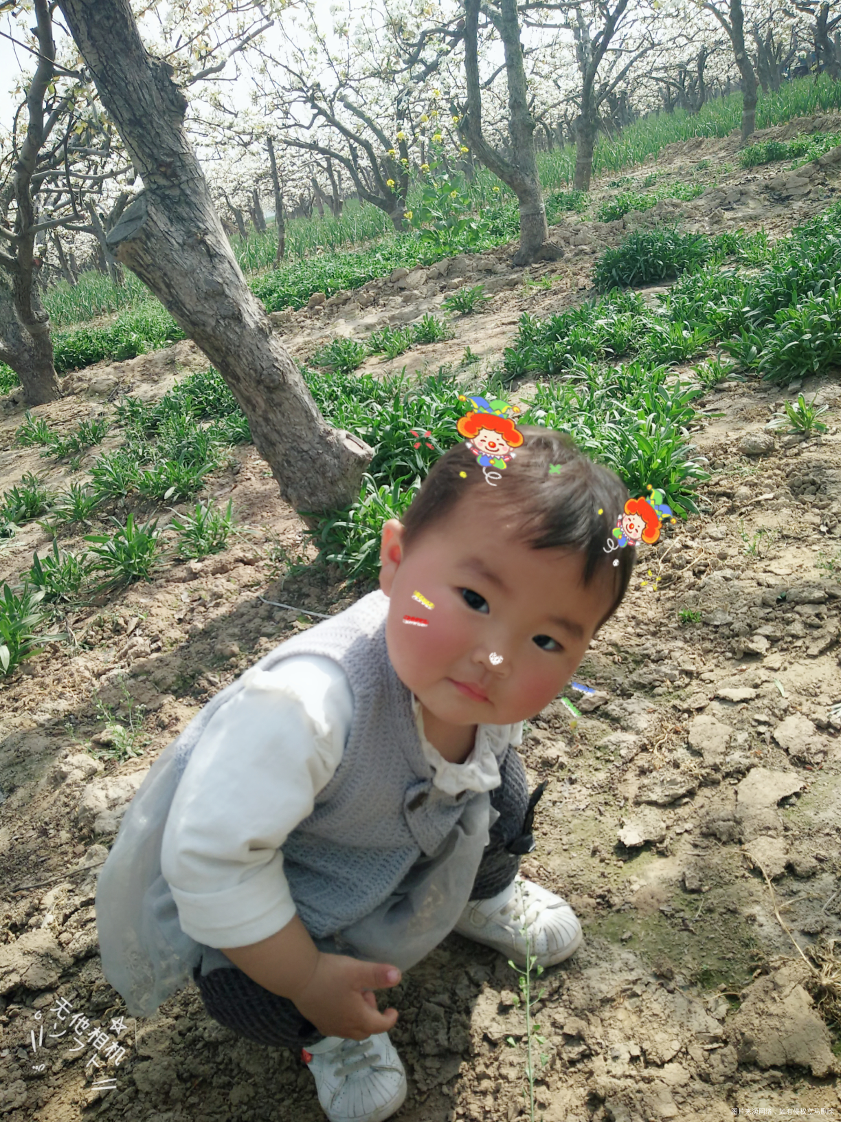 分享一个小可爱😊😊😊😊😊😊