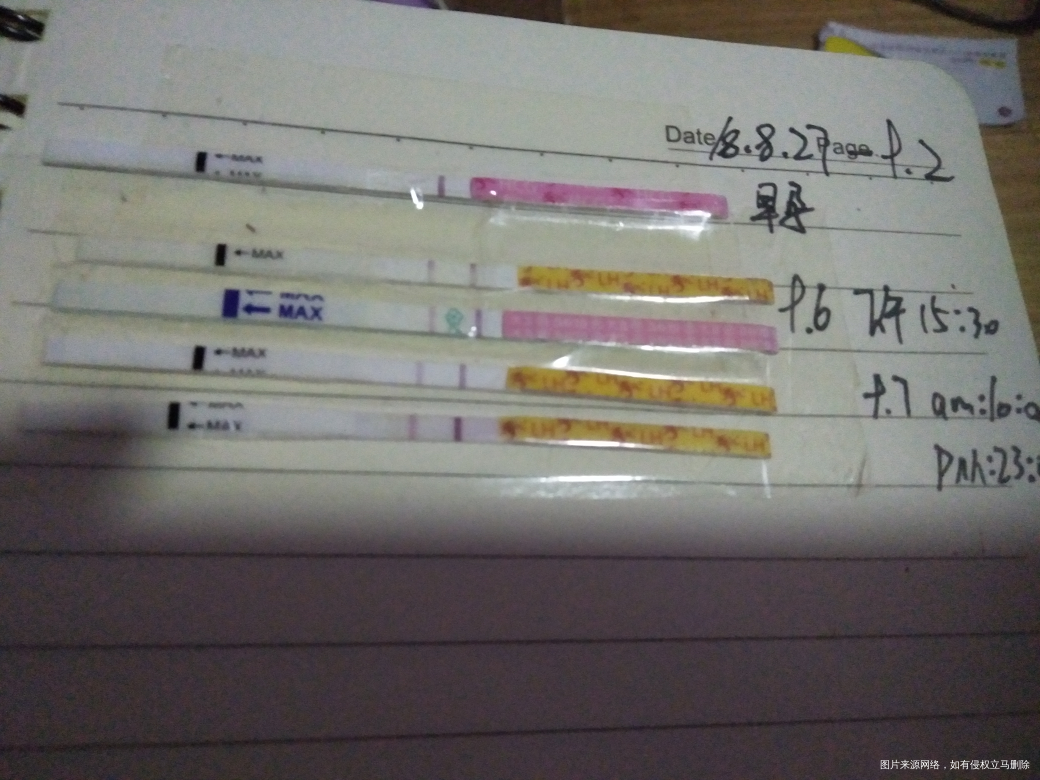 末次9月2日,昨天下午排卵试纸貌似强阳了