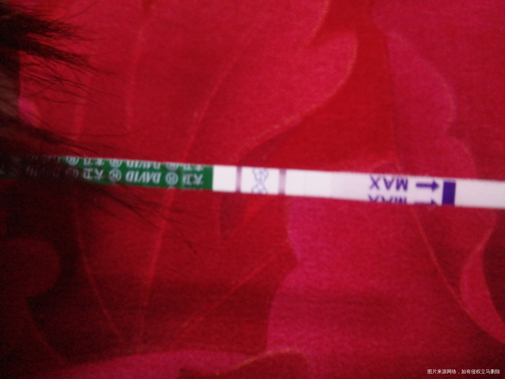 请会算的宝妈给算算有两个月了吗