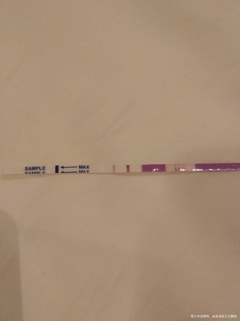 大家看下,是不是已经排了