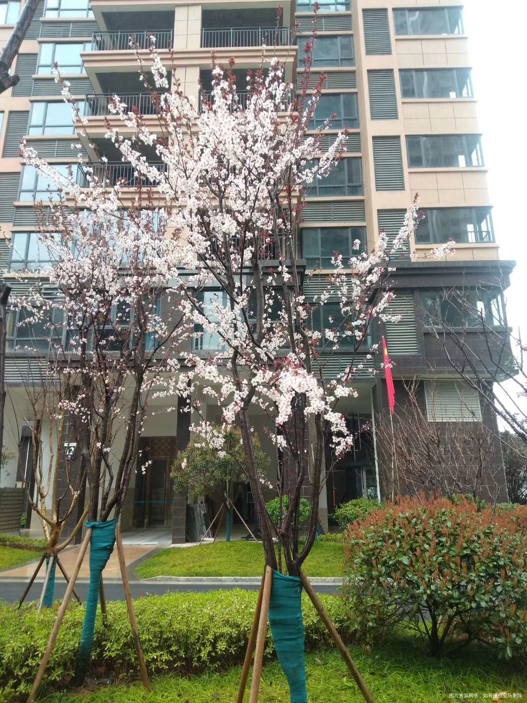 这个小区环境看着还可以啊!市里的楼盘