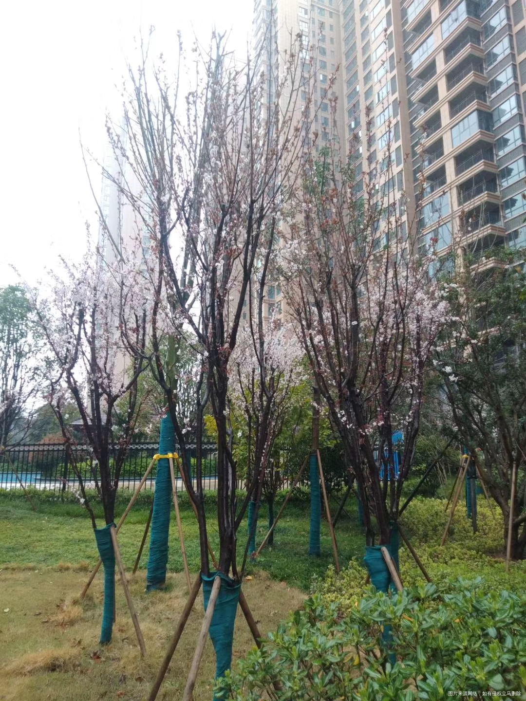 这个小区环境看着还可以啊!市里的楼盘