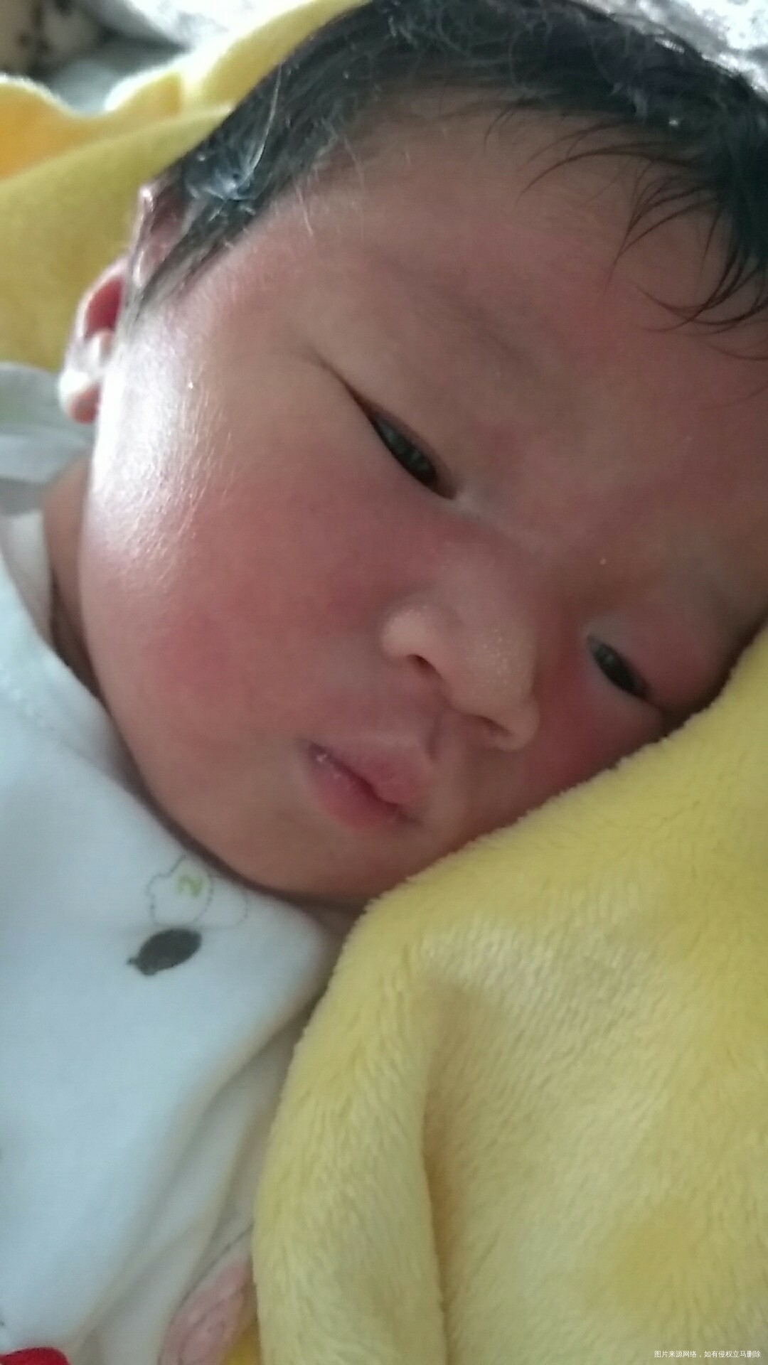 老二出来了,哈哈!!!还是很喜欢