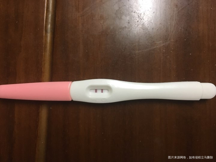 【孕期记录】我与宝宝合体的十月