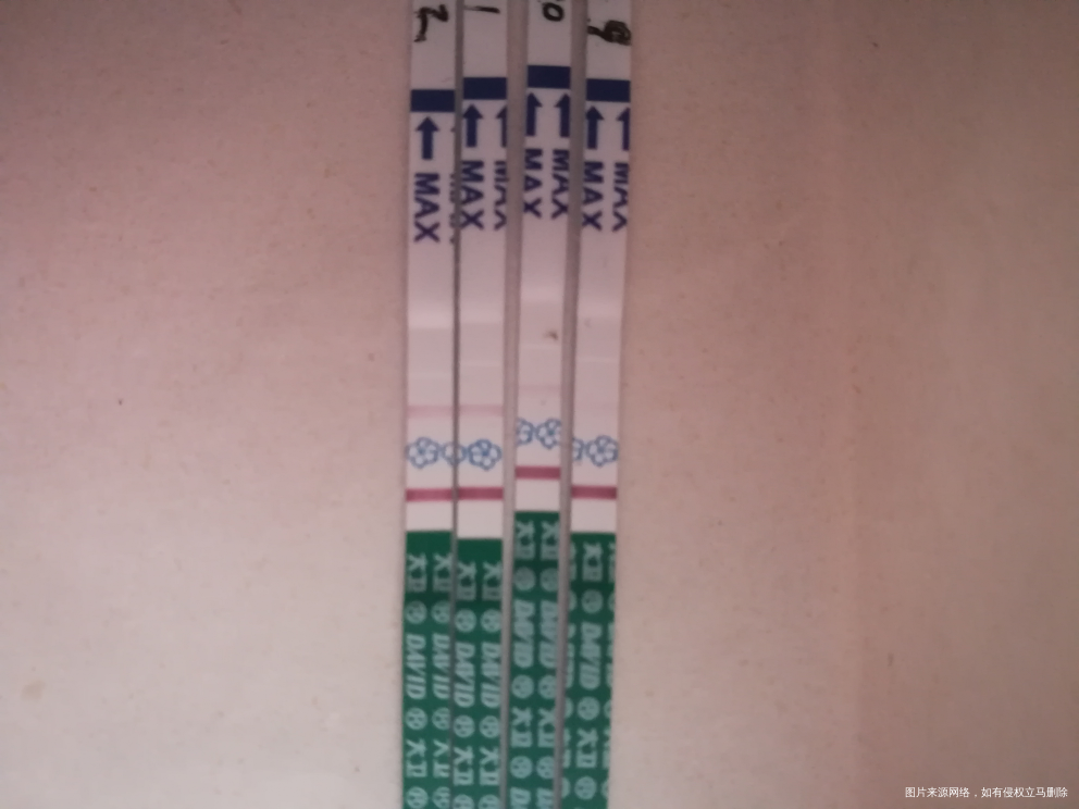 第十二天 心情还是小小的激动