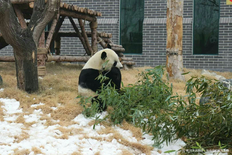 #我的家乡美景#中华泰山,国泰民安