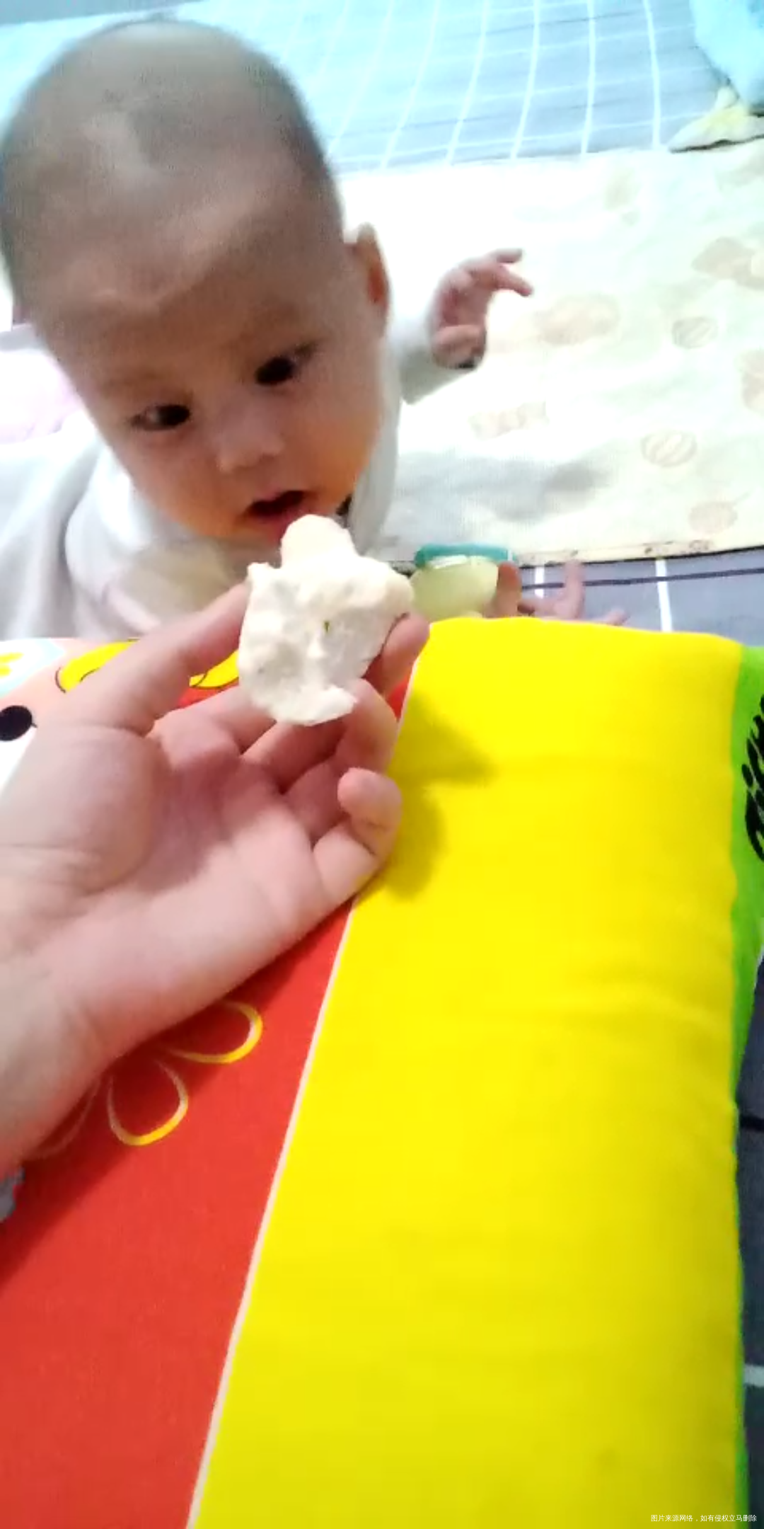 看见我吃饭都要馋死了,可怜