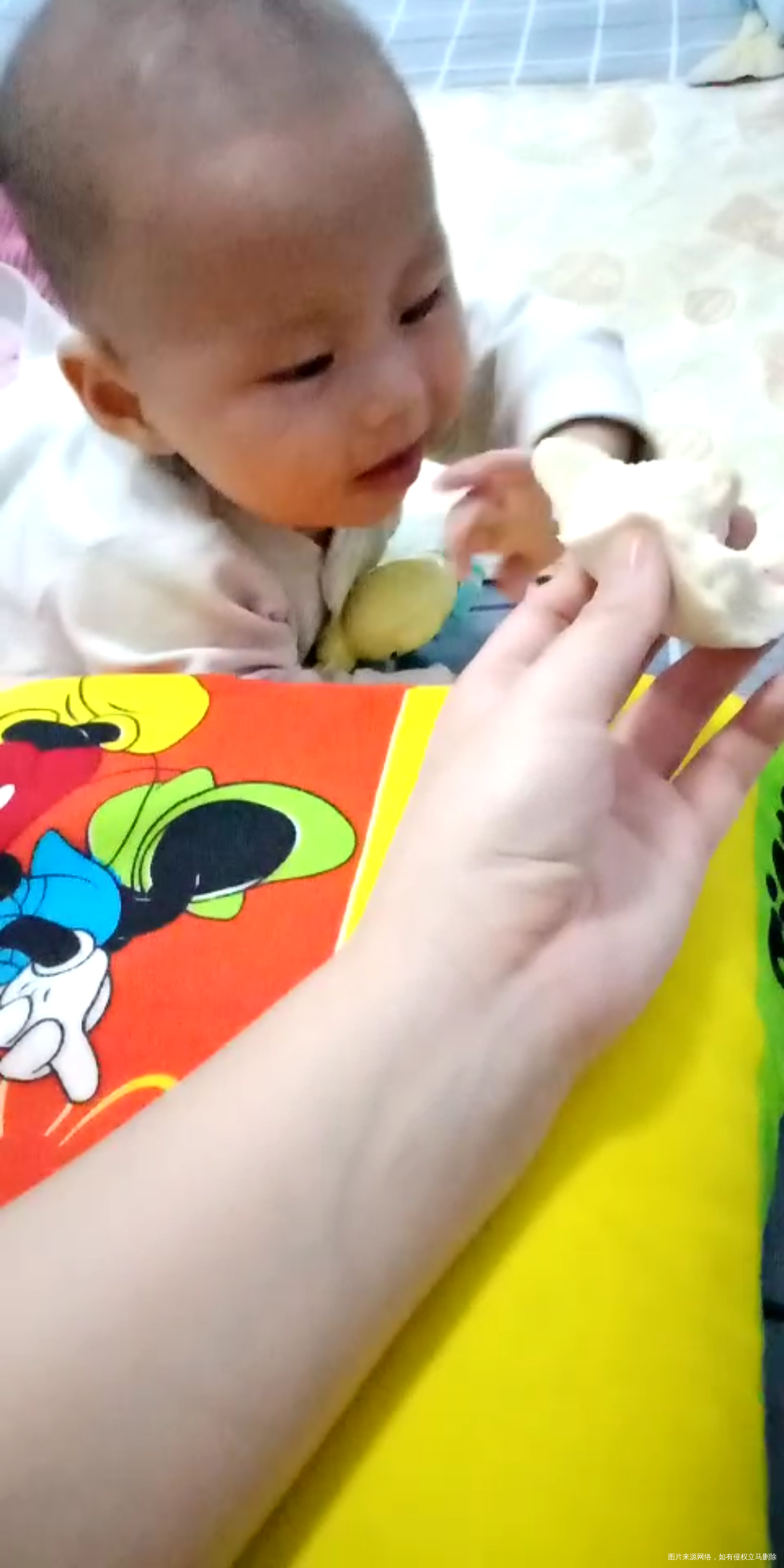 看见我吃饭都要馋死了,可怜