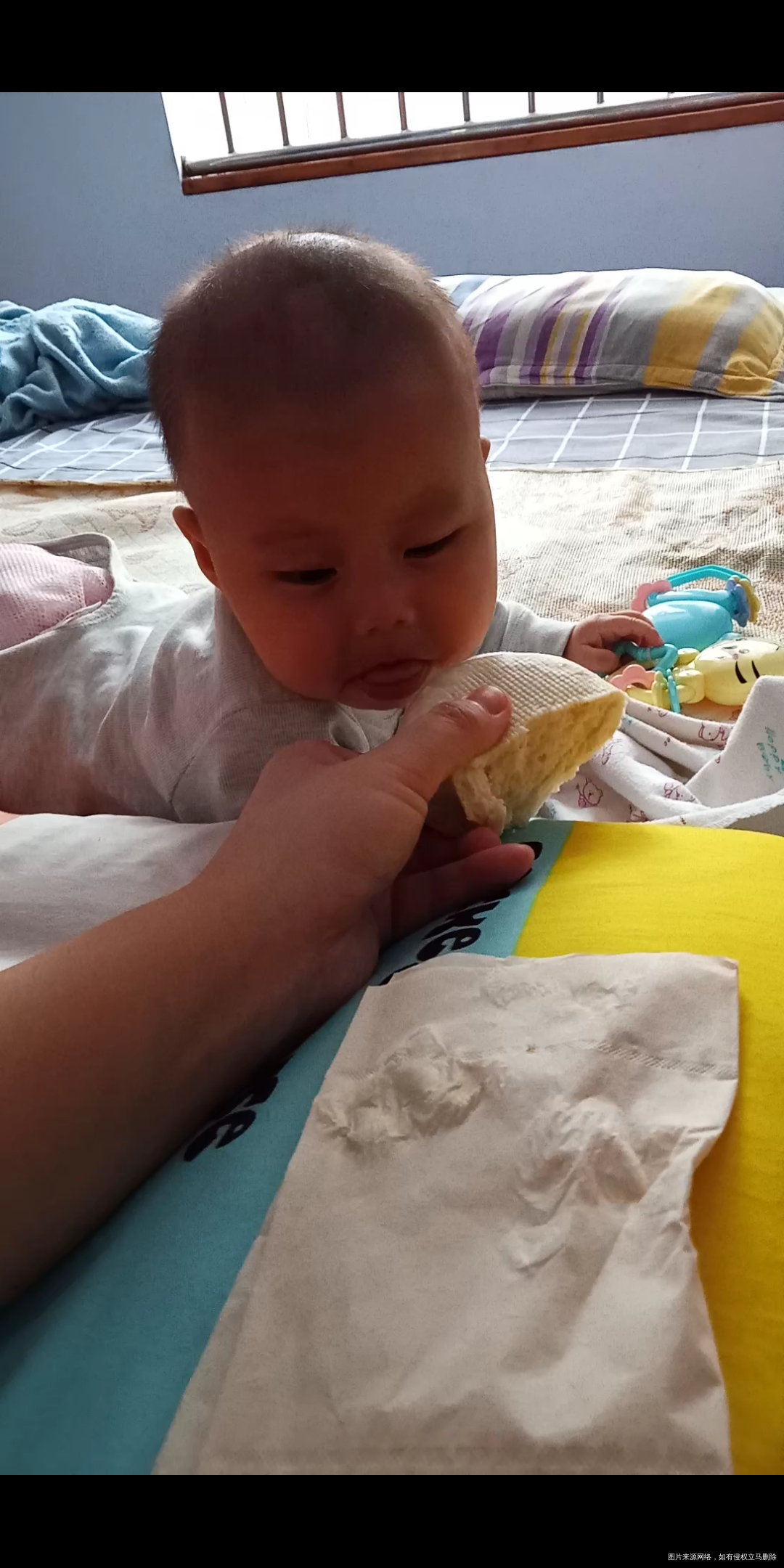 看见我吃饭都要馋死了,可怜