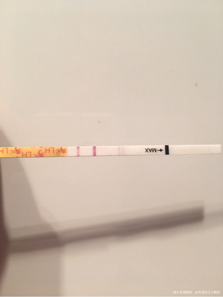 姐妹们 帮忙看看到底什么时候才会排卵啊。。。