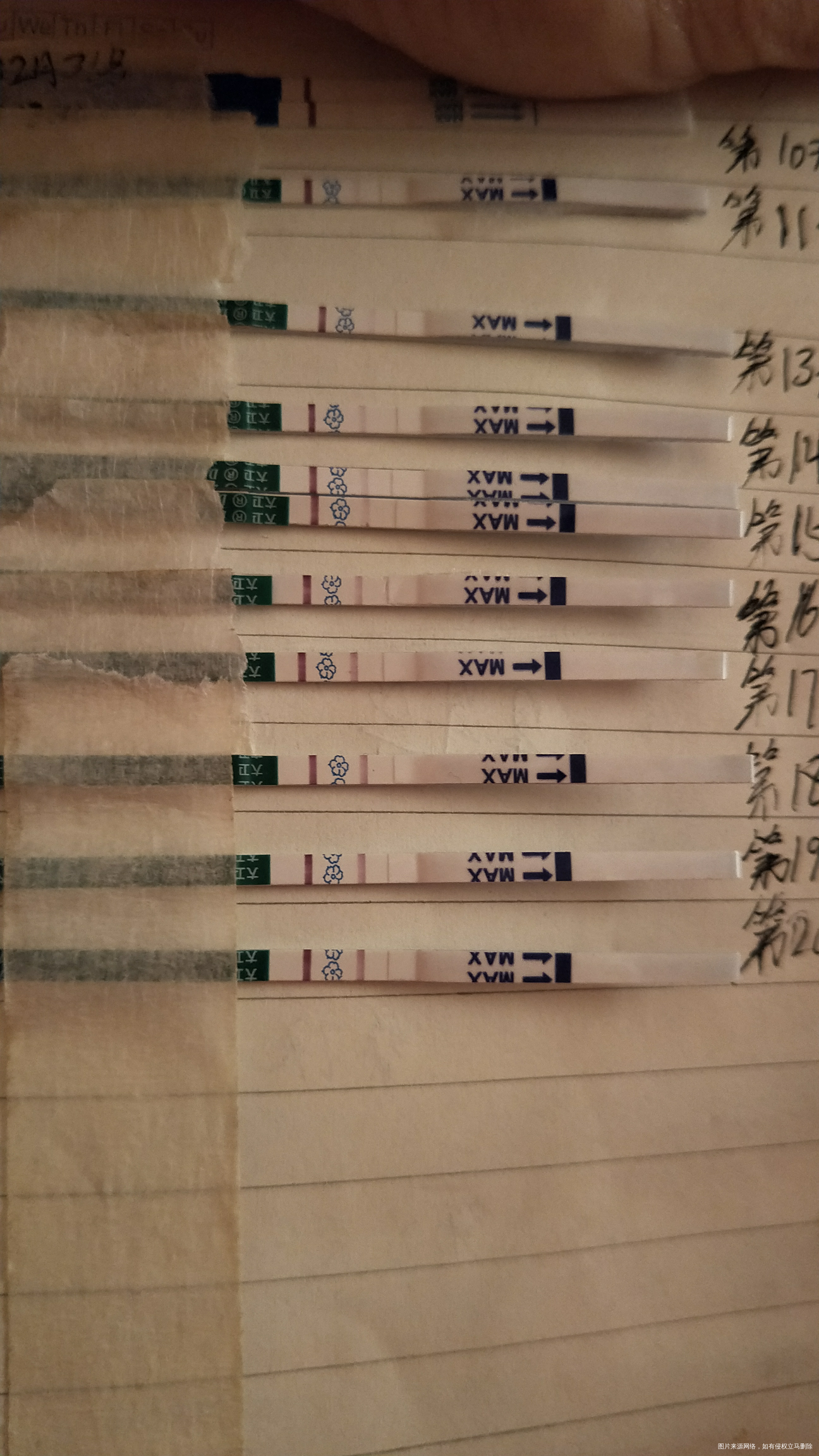 今天算移植的第20天