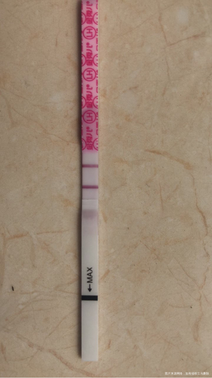 昨天查卵泡1.3*1.0,今天试纸强阳了