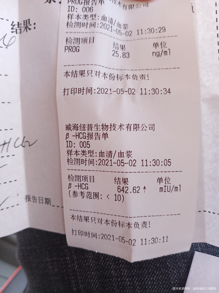 带O型环 怀孕5周+2 今天上午见红了