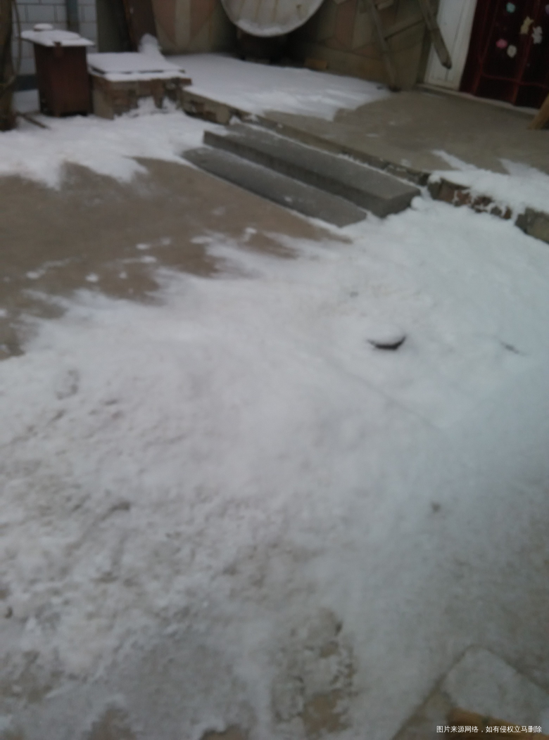 白茫茫的下雪了感觉好冷