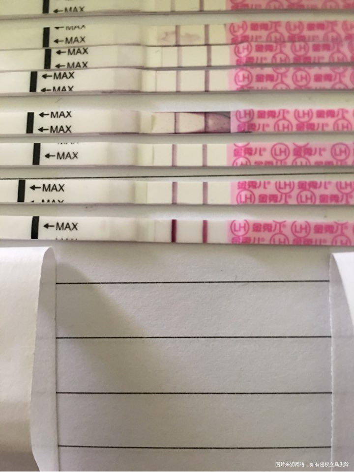 这样机会大不大呀 ?bn