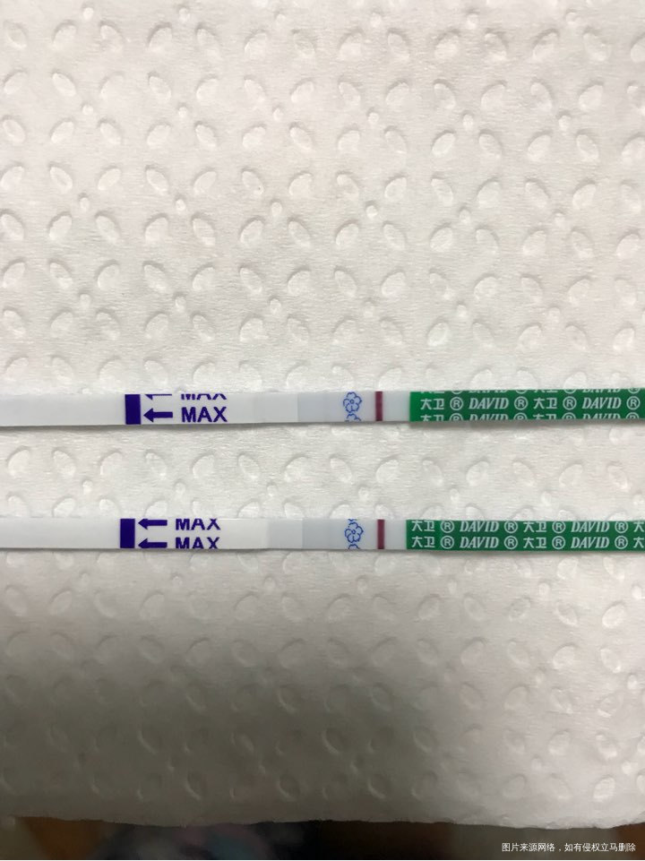 12号移植囊胚一个今天算第5天是吗?