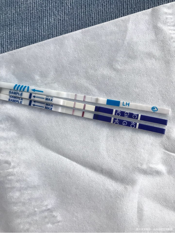 今天第九天了 有点点小小担心