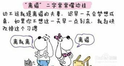 【夫妻之间】没有不争吵的感情,只有不包容的心