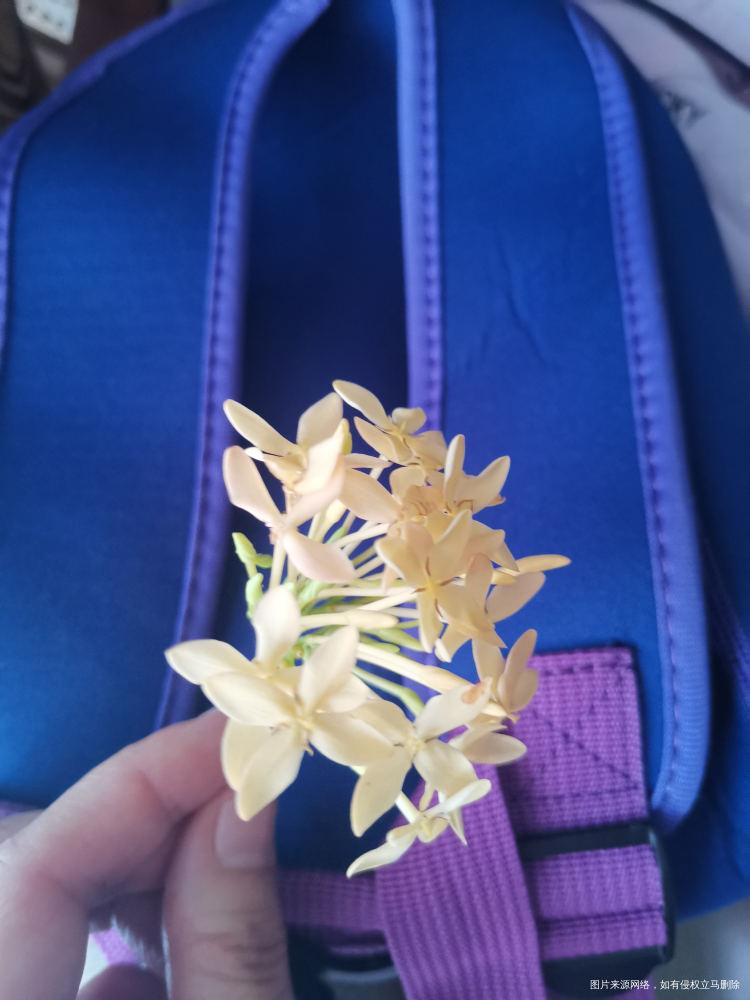 2021.11.28 宝爸接妹妹回来,一回到家妹妹到处找妈妈,我在房间做家务,...