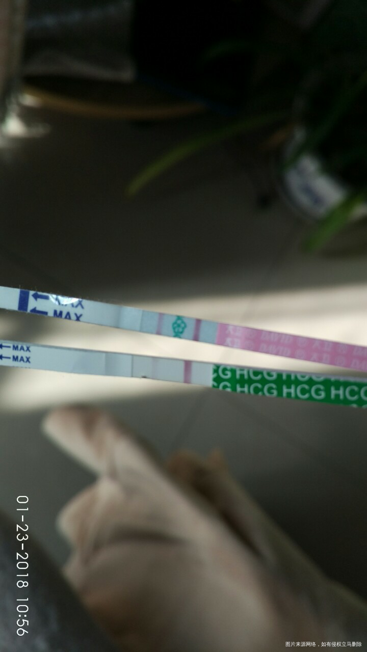 移植第八天,测到有印啦!