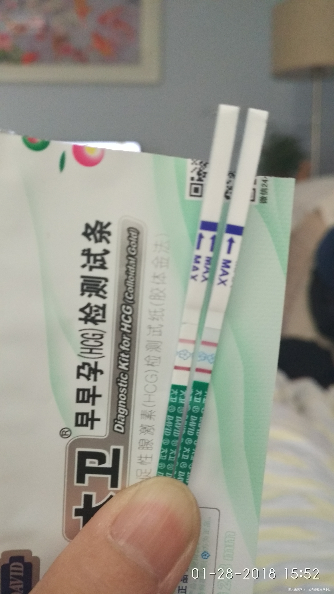 移植13天,官方了!供姐妹们参考!