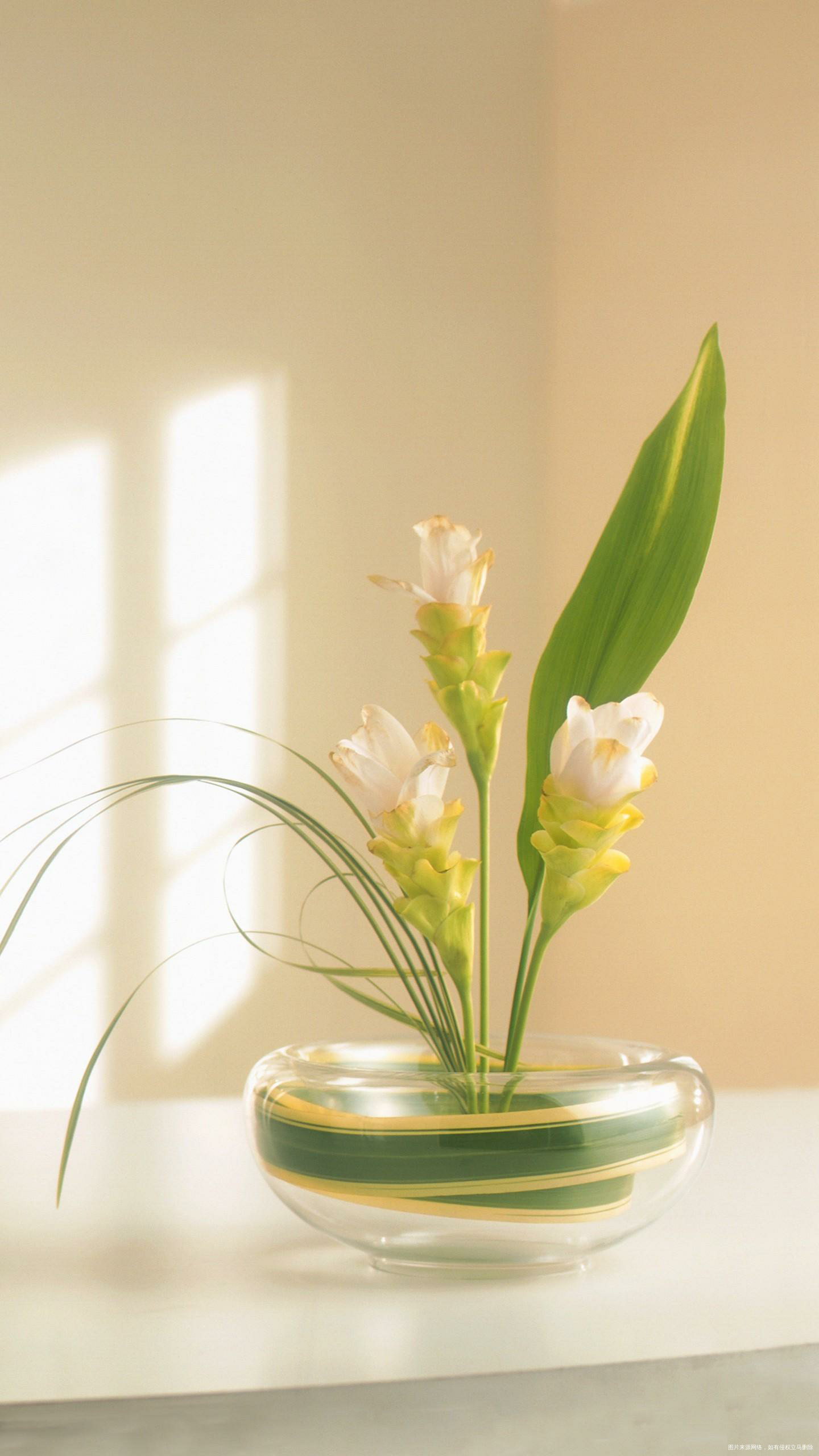 姐妹们说说,你们结婚后谁做饭?