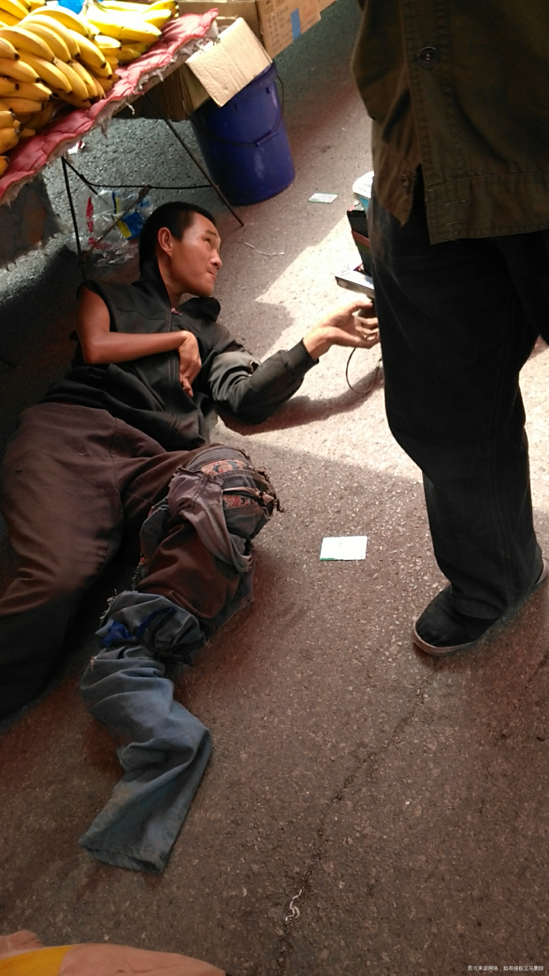 今天赶集看见的,从来没有见过他们