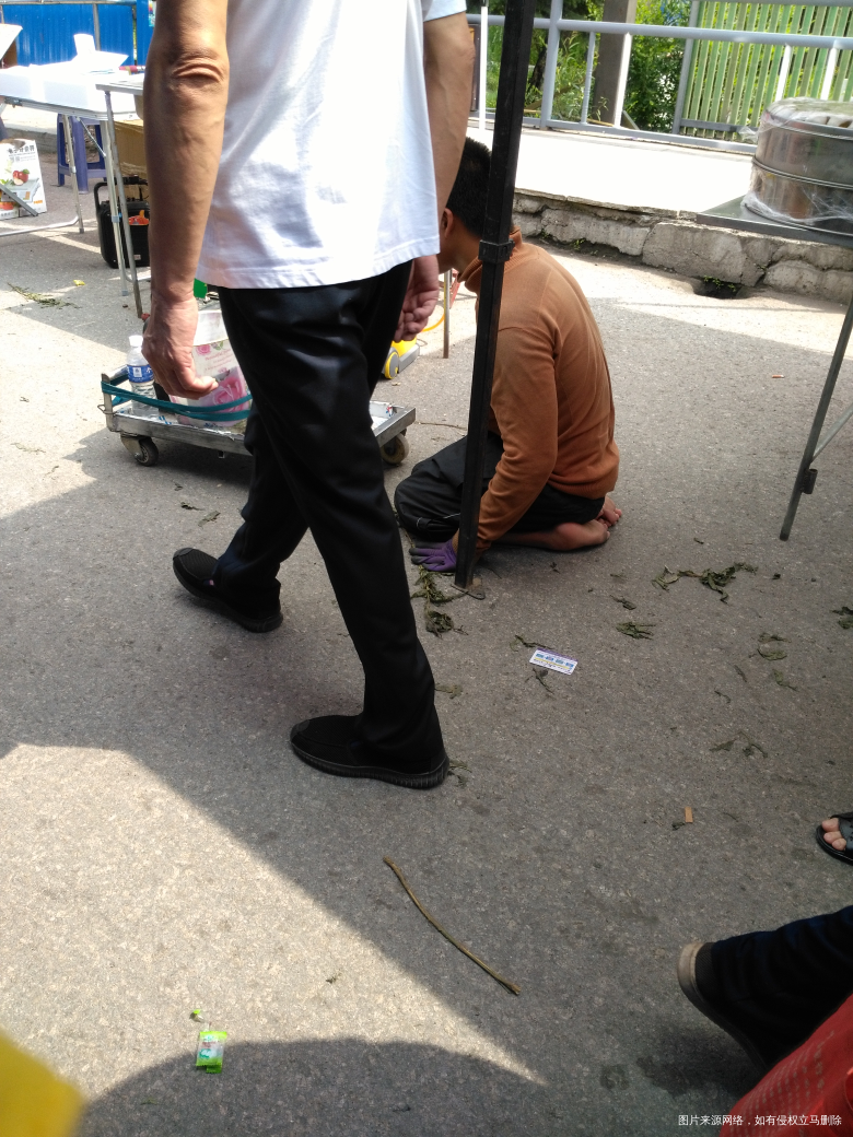 今天赶集看见的,从来没有见过他们