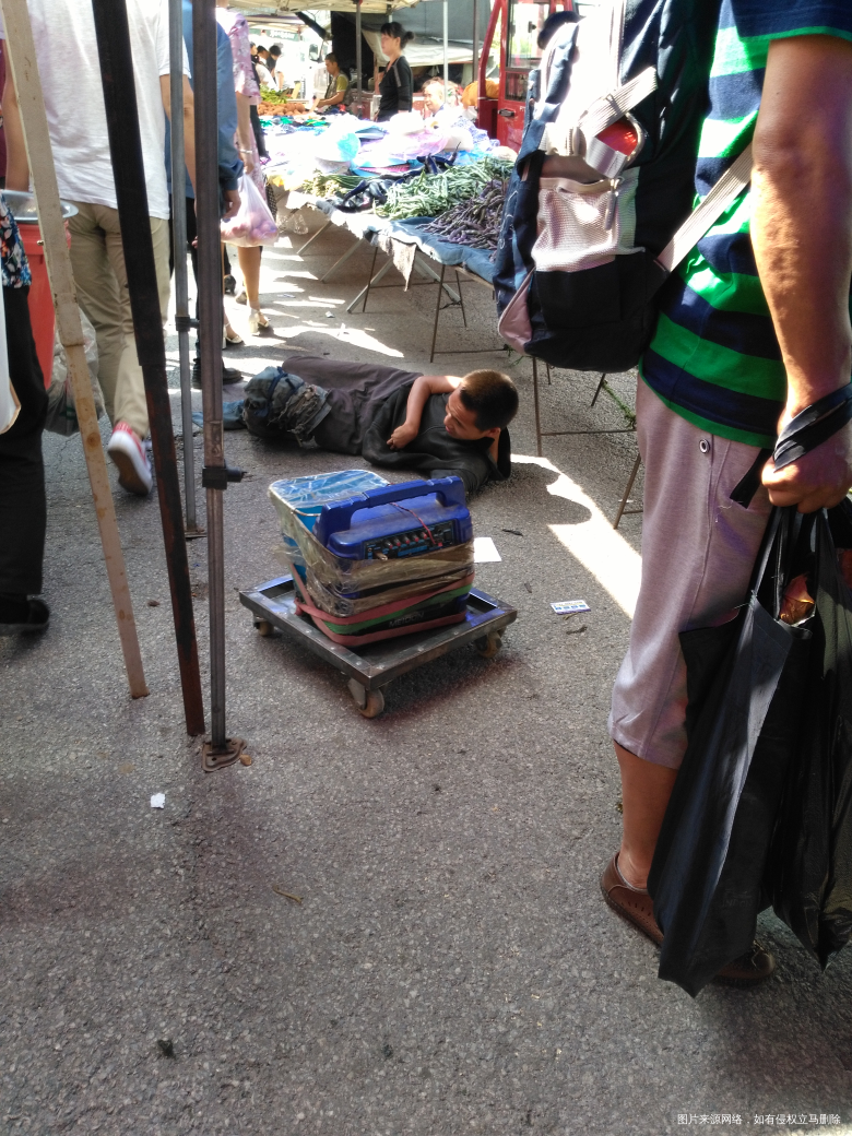 今天赶集看见的,从来没有见过他们