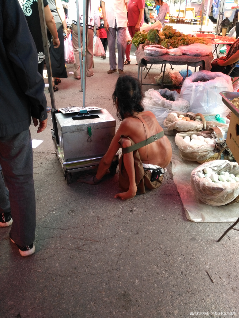 今天赶集看见的,从来没有见过他们