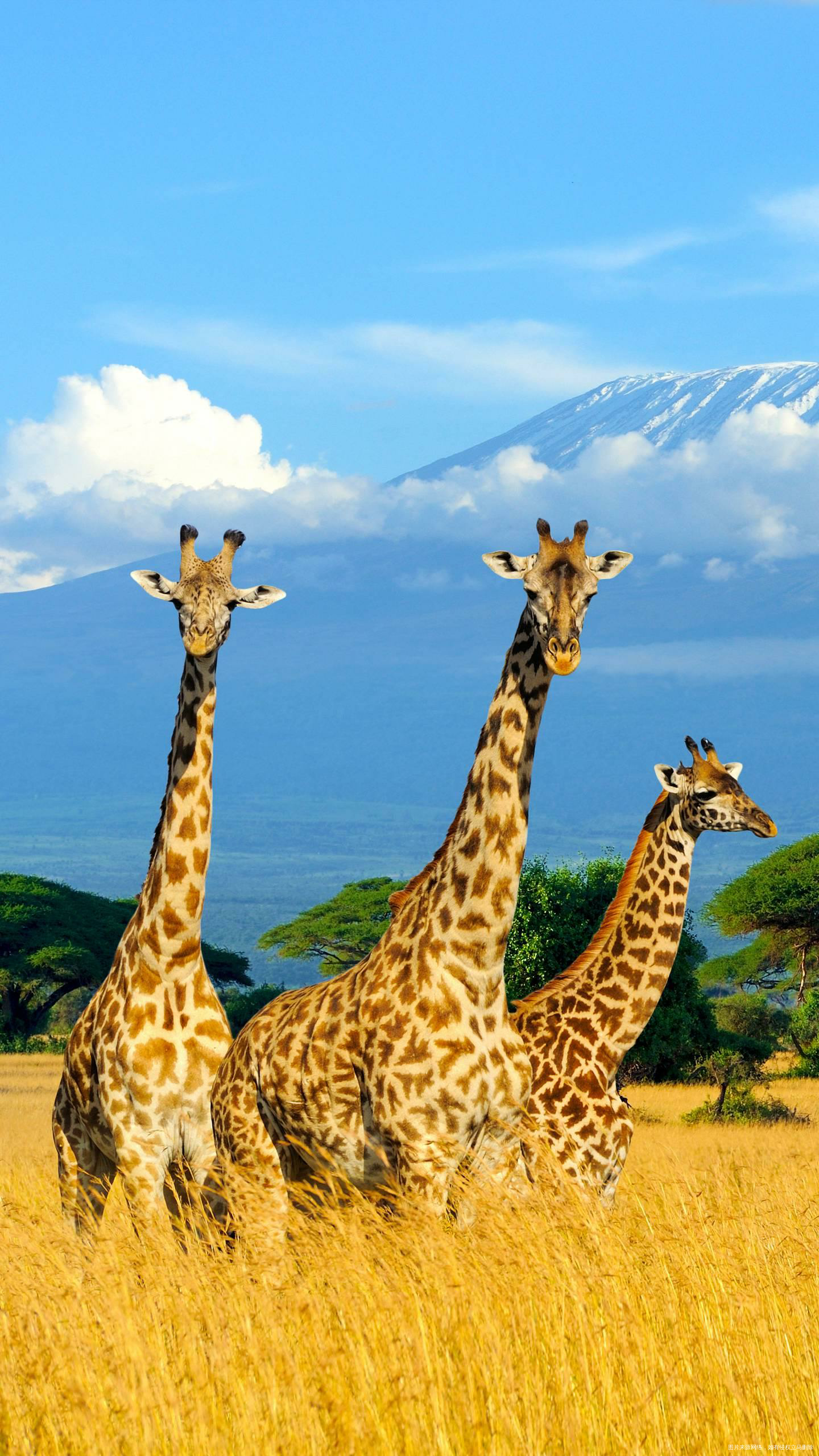 昨天回婆婆家,给她训了