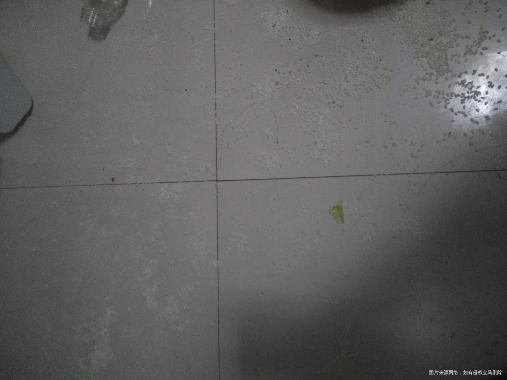 吵架了,也挺出气的!气死他俩