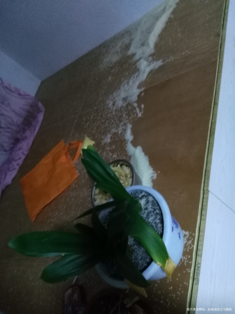 吵架了,也挺出气的!气死他俩