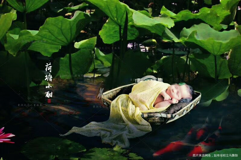 看看朋友圈的满月照,好看吗?