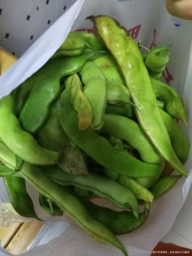 2018-08-28
今天二宝跟着她姨去农村亲戚家摘了豆角和茄子…