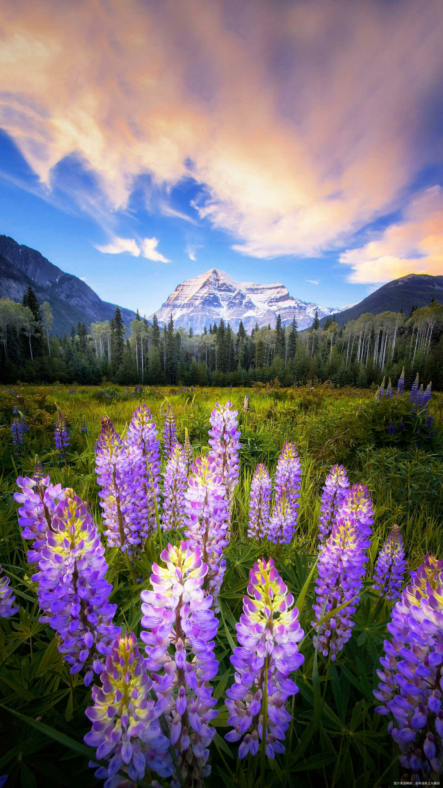 问问大家结婚回门礼谁买的?