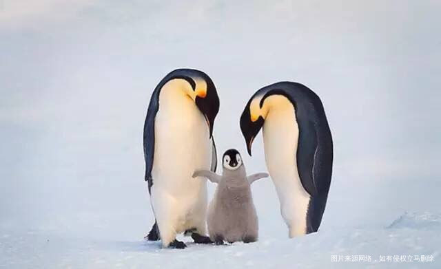 《爱是一种能量,是可以传递的能量》